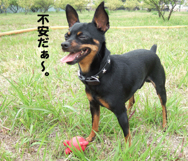c0012571_1935634.gif