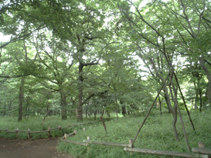 d0041074_2305481.jpg