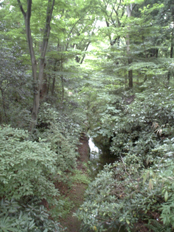 d0041074_2375934.jpg