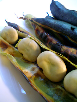 f0056476_1153643.jpg