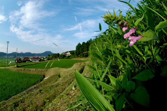 f0090680_22564818.jpg