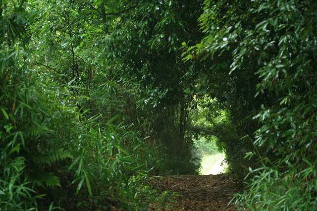 e0024081_1432745.jpg