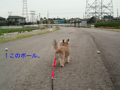 e0066883_18143280.jpg