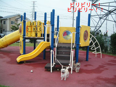 e0066883_18261683.jpg