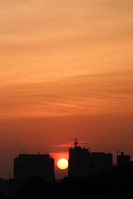 b0067789_2234389.jpg