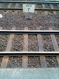 e0026495_928172.jpg