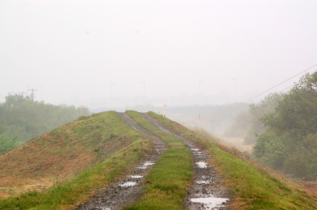 a0062697_2174499.jpg