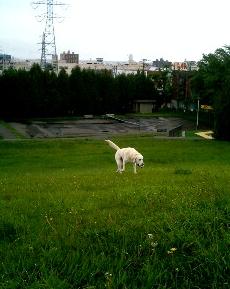 a0039299_1372590.jpg