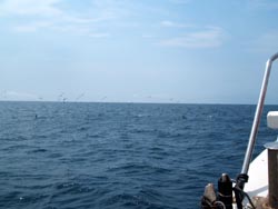 f0048405_1130101.jpg