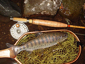f0021008_22542881.jpg