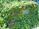 b0042512_1974918.jpg