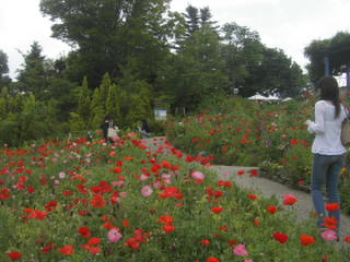 f0013519_2291817.jpg