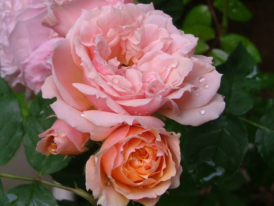 c0045227_22274696.jpg