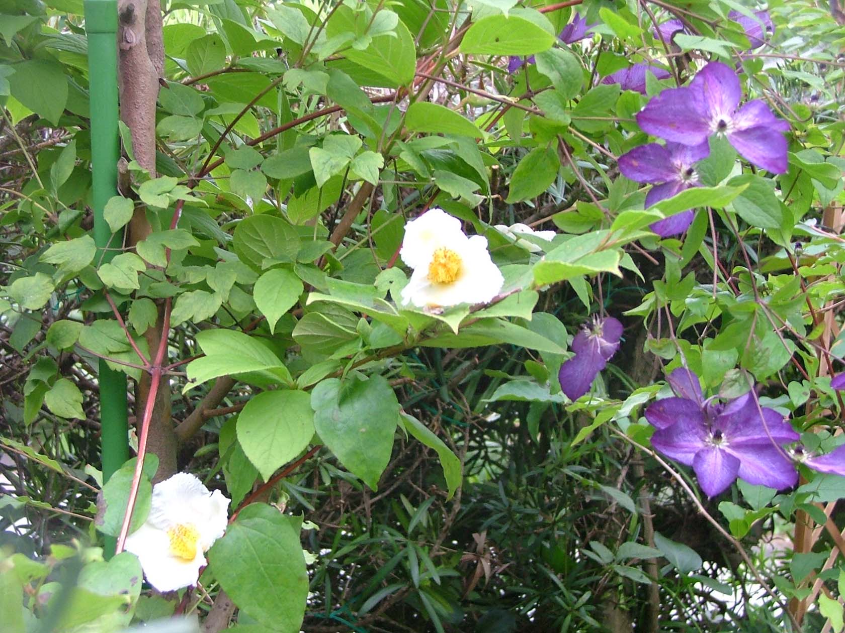 c0045227_22515663.jpg