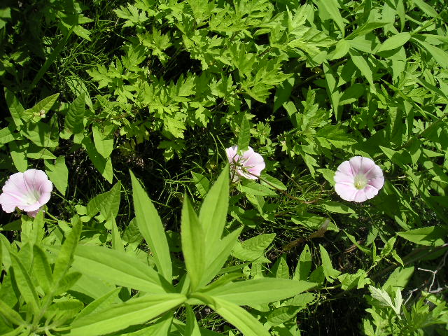 a0020929_21342886.jpg