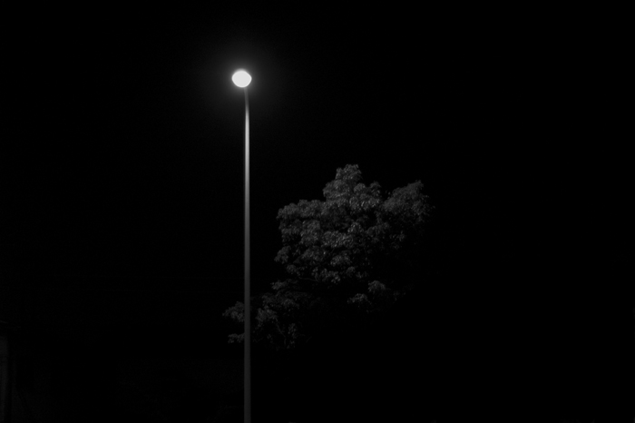 a0053732_0125291.jpg