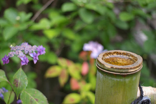 c0032138_1821665.jpg