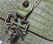 c0046340_20353760.jpg