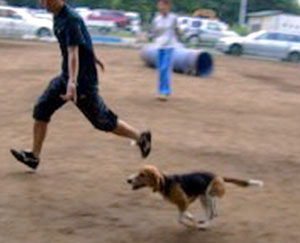 e0007060_21245380.jpg