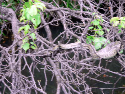 f0086169_2172139.jpg