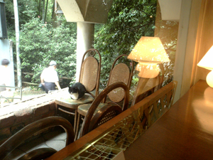 d0041074_10332516.jpg