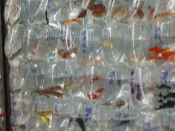 b0092475_2247865.jpg