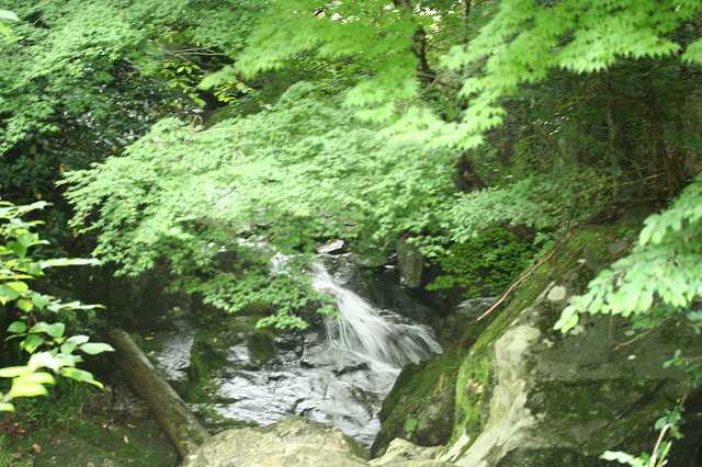 e0024081_16374739.jpg