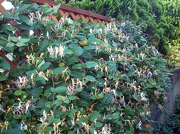 f0019498_2034098.jpg