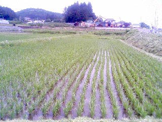 d0072903_1642244.jpg