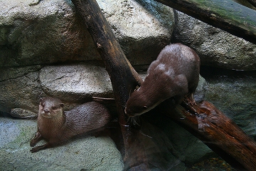 f0034007_0443953.jpg