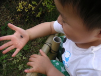 e0087210_21534366.jpg