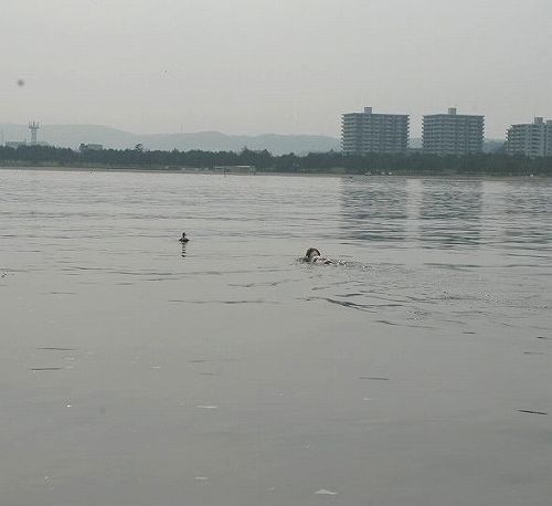 c0065512_23161739.jpg