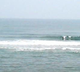 d0032118_2034312.jpg