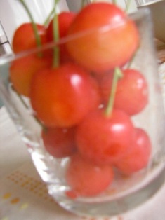e0008118_2017596.jpg