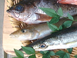 f0060424_11584414.jpg