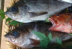 f0060424_1284616.jpg