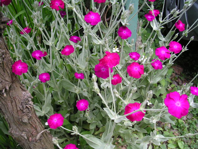 a0020929_10331983.jpg