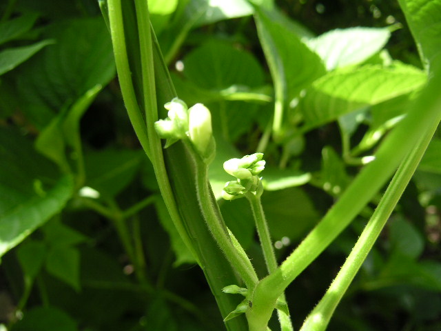 a0020929_1071653.jpg