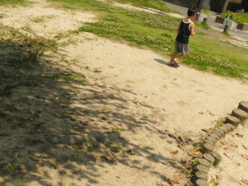 d0018131_184978.jpg