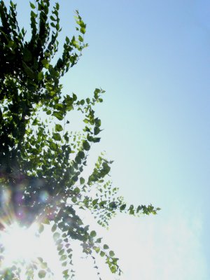 d0018131_1855254.jpg