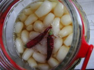 e0054045_155766.jpg