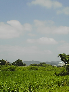 a0040858_16204076.jpg