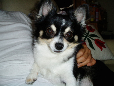 a0045872_22562298.jpg