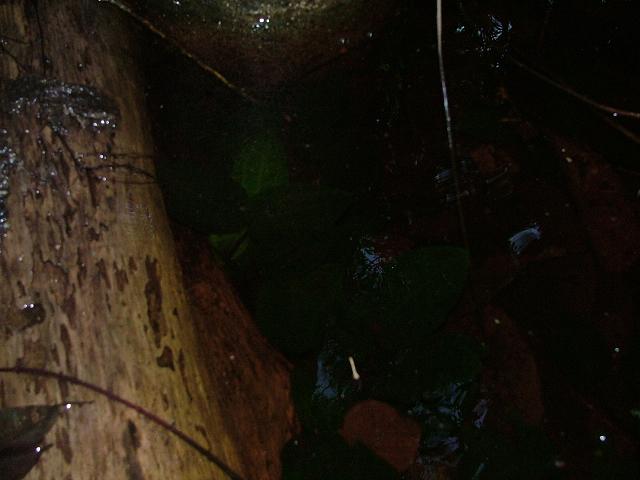 a0067578_11235142.jpg