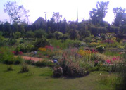 e0060483_2041399.jpg