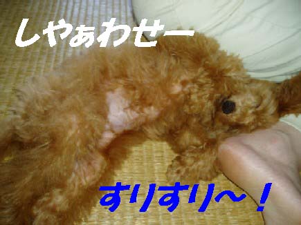 f0061283_10174311.jpg