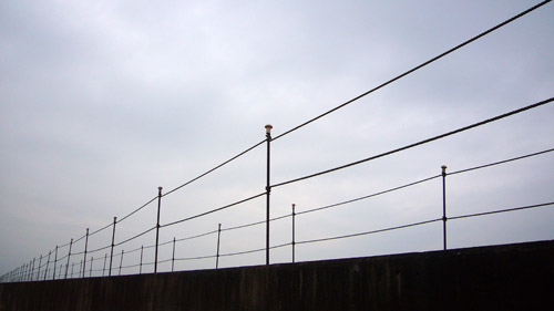 b0035093_2291361.jpg