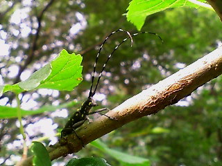 e0083097_23133159.jpg