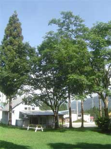 a0061599_962434.jpg