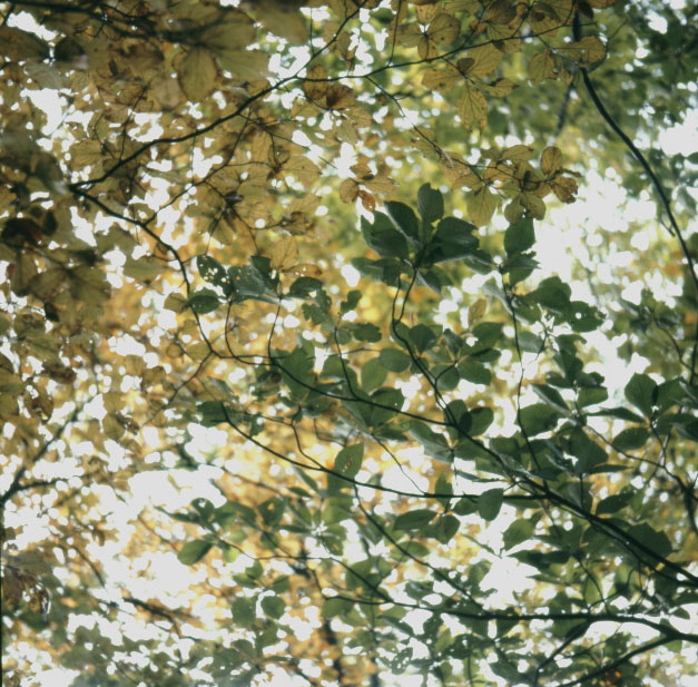 f0108399_2158199.jpg
